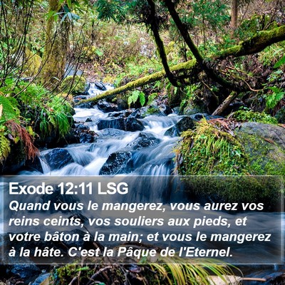 Exode 12:11 LSG Bible Verse Image