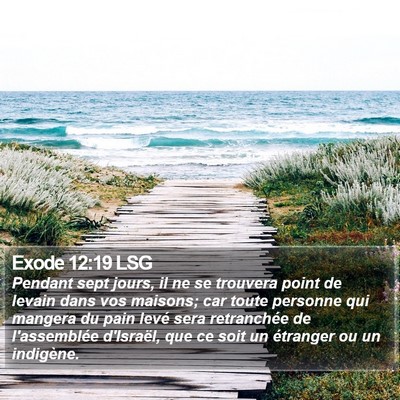 Exode 12:19 LSG Bible Verse Image