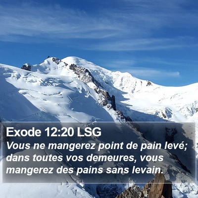 Exode 12:20 LSG Bible Verse Image