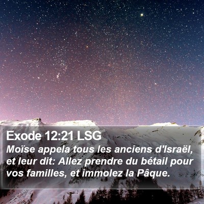 Exode 12:21 LSG Bible Verse Image