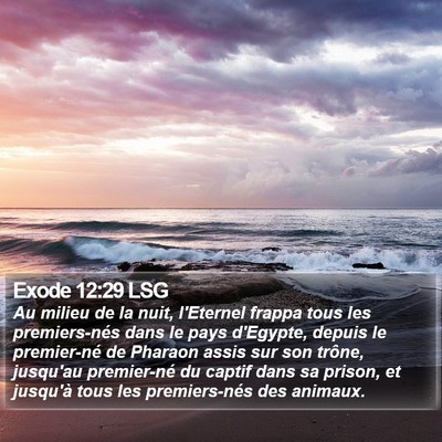 Exode 12:29 LSG Bible Verse Image