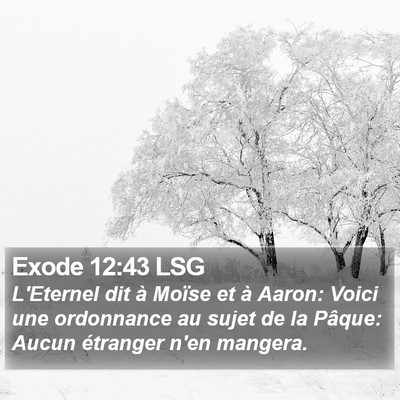 Exode 12:43 LSG Bible Verse Image