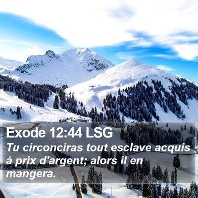 Exode 12:44 LSG Bible Verse Image