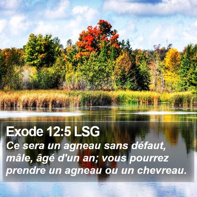 Exode 12:5 LSG Bible Verse Image