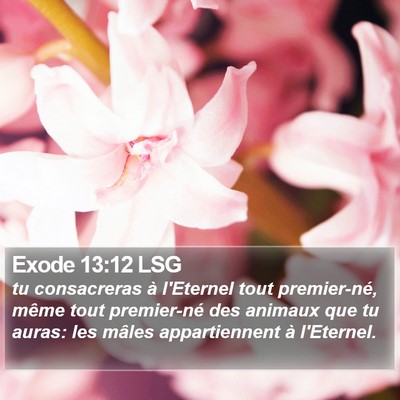 Exode 13:12 LSG Bible Verse Image