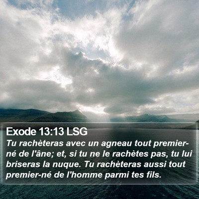 Exode 13:13 LSG Bible Verse Image