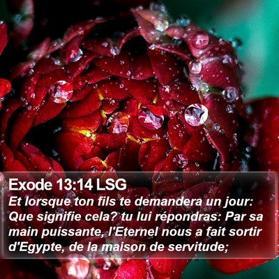 Exode 13:14 LSG Bible Verse Image