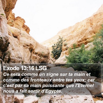 Exode 13:16 LSG Bible Verse Image
