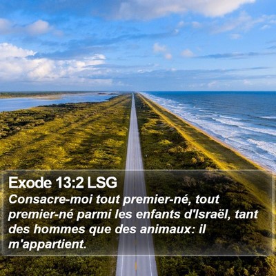 Exode 13:2 LSG Bible Verse Image