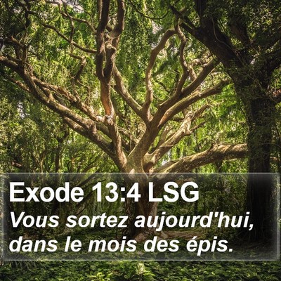 Exode 13:4 LSG Bible Verse Image
