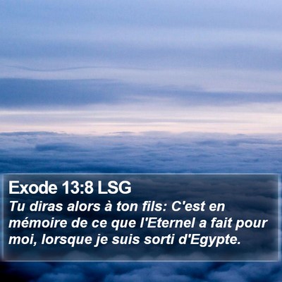 Exode 13:8 LSG Bible Verse Image