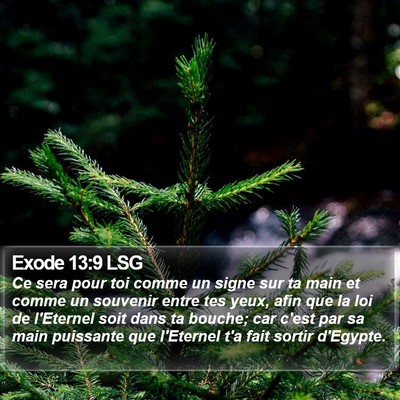 Exode 13:9 LSG Bible Verse Image