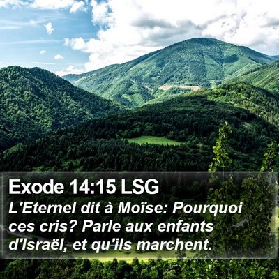Exode 14:15 LSG Bible Verse Image