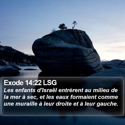 Exode 14:22 LSG Bible Verse Image
