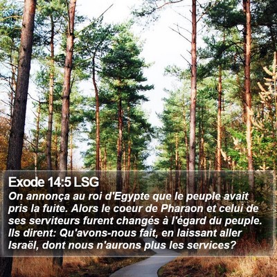Exode 14:5 LSG Bible Verse Image
