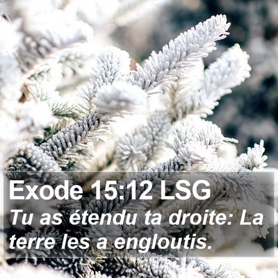 Exode 15:12 LSG Bible Verse Image