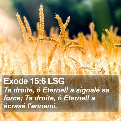 Exode 15:6 LSG Bible Verse Image