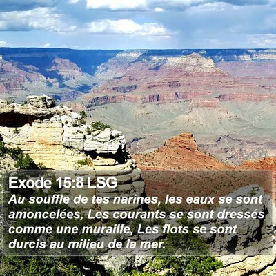Exode 15:8 LSG Bible Verse Image