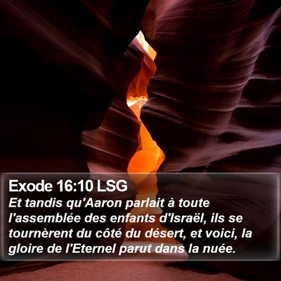 Exode 16:10 LSG Bible Verse Image