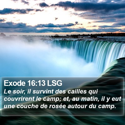 Exode 16:13 LSG Bible Verse Image