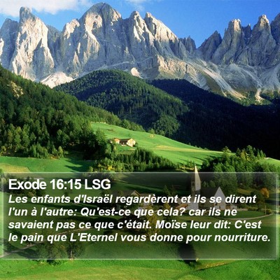 Exode 16:15 LSG Bible Verse Image