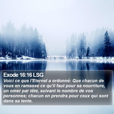 Exode 16:16 LSG Bible Verse Image