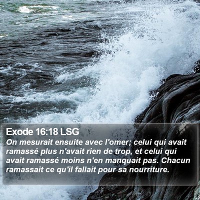 Exode 16:18 LSG Bible Verse Image