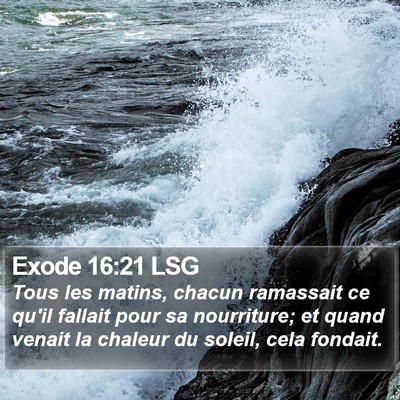 Exode 16:21 LSG Bible Verse Image