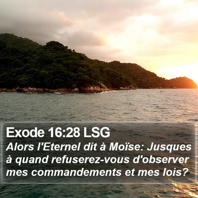 Exode 16:28 LSG Bible Verse Image