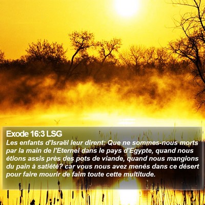 Exode 16:3 LSG Bible Verse Image