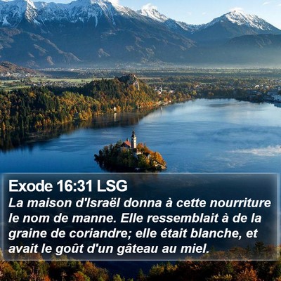Exode 16:31 LSG Bible Verse Image