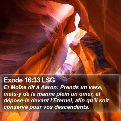 Exode 16:33 LSG Bible Verse Image