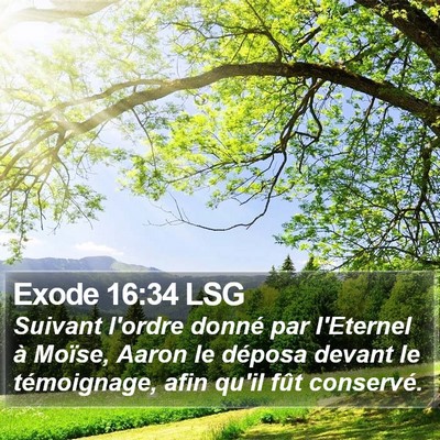 Exode 16:34 LSG Bible Verse Image