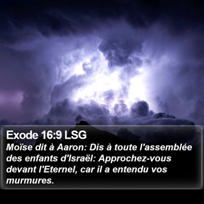 Exode 16:9 LSG Bible Verse Image