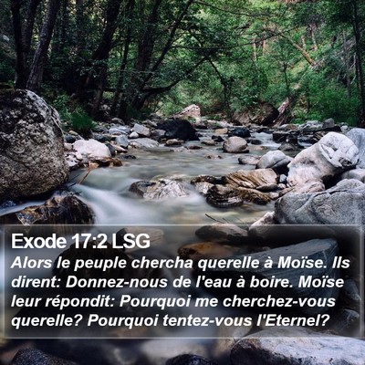 Exode 17:2 LSG Bible Verse Image