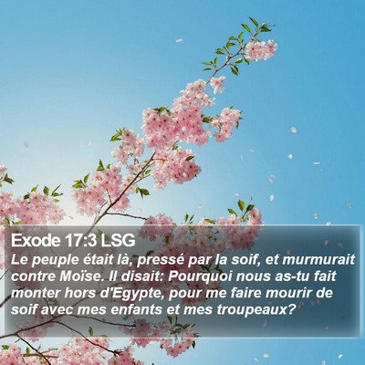 Exode 17:3 LSG Bible Verse Image