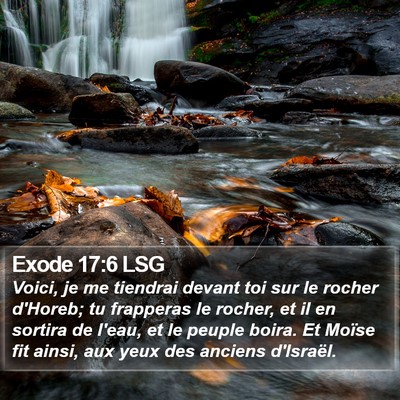 Exode 17:6 LSG Bible Verse Image