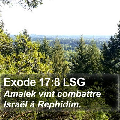 Exode 17:8 LSG Bible Verse Image