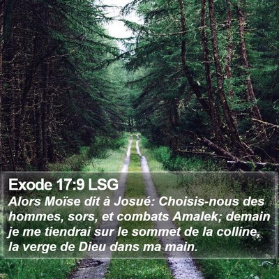 Exode 17:9 LSG Bible Verse Image