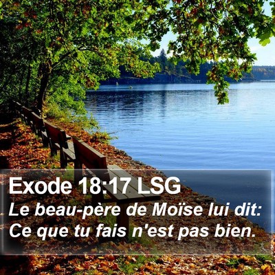 Exode 18:17 LSG Bible Verse Image
