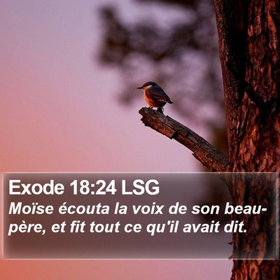 Exode 18:24 LSG Bible Verse Image