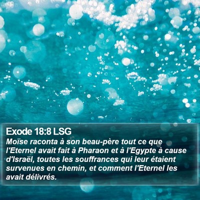 Exode 18:8 LSG Bible Verse Image