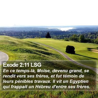 Exode 2:11 LSG Bible Verse Image