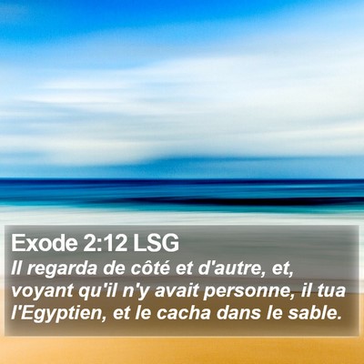 Exode 2:12 LSG Bible Verse Image