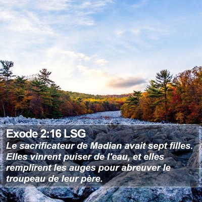 Exode 2:16 LSG Bible Verse Image