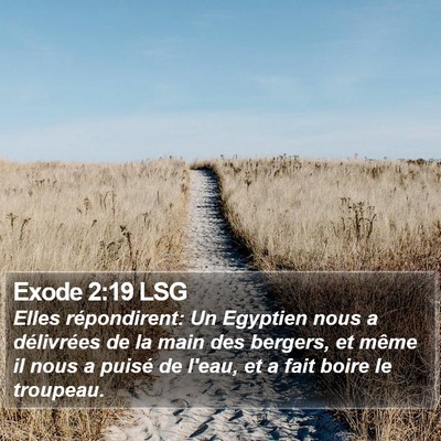 Exode 2:19 LSG Bible Verse Image