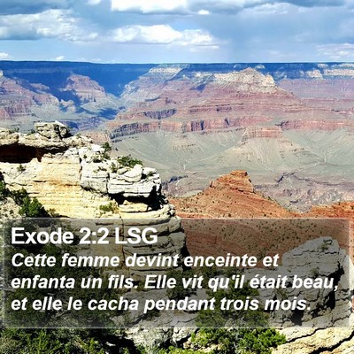 Exode 2:2 LSG Bible Verse Image