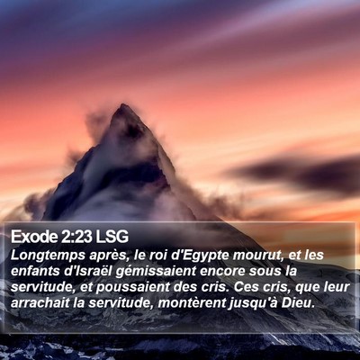 Exode 2:23 LSG Bible Verse Image