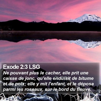Exode 2:3 LSG Bible Verse Image