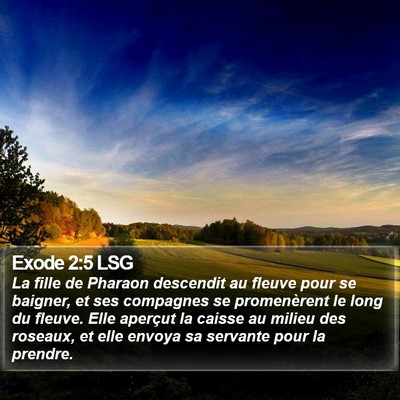 Exode 2:5 LSG Bible Verse Image